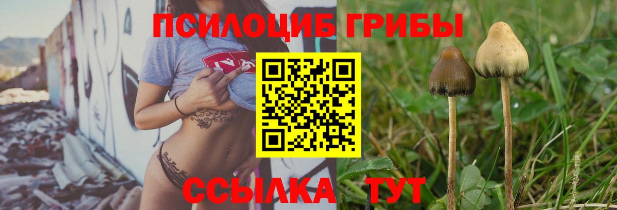 Галлюциногенные грибы мицелий  Псилоцибиновые грибы мухоморы  Вход с VPN  Альметьевск 